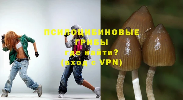 индика Балабаново