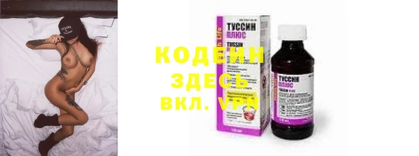 индика Балабаново