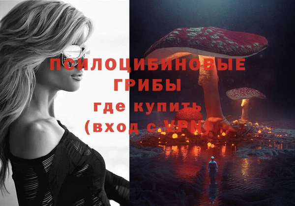 индика Балабаново