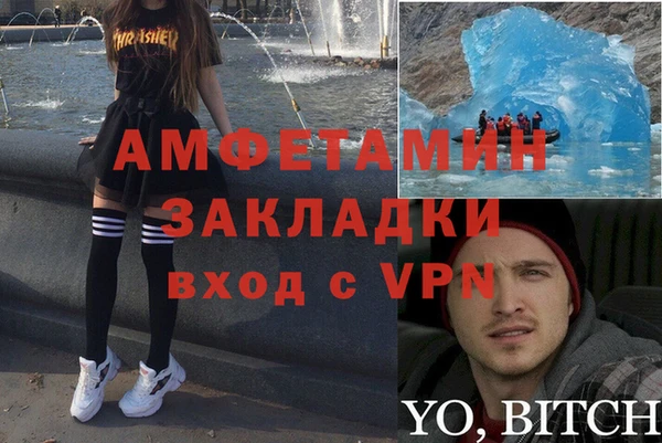 индика Балабаново